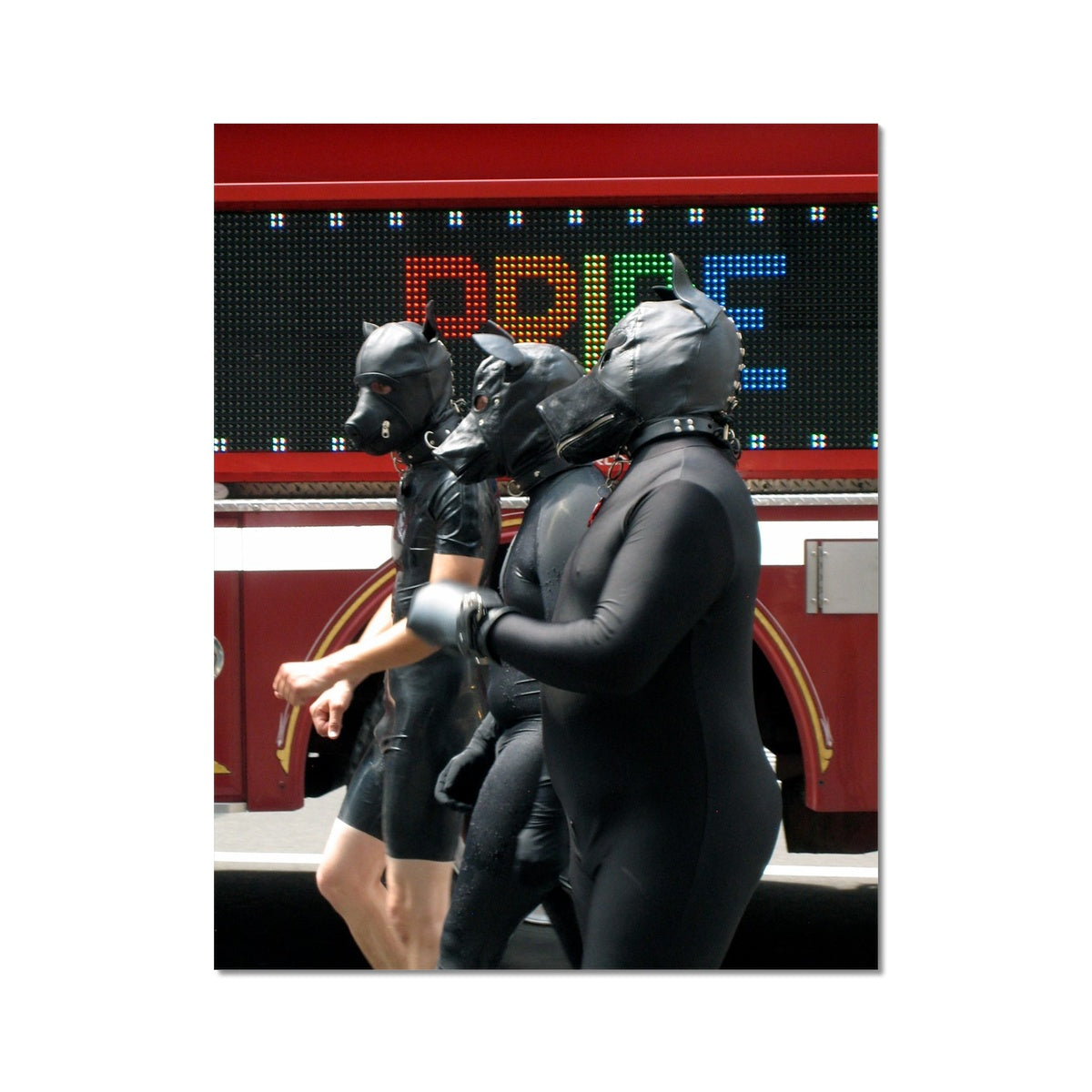 Pride 2011 Hahnemuehle Photo Rag Print