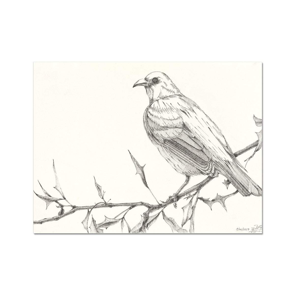 The Bird 3 Fine Art Print