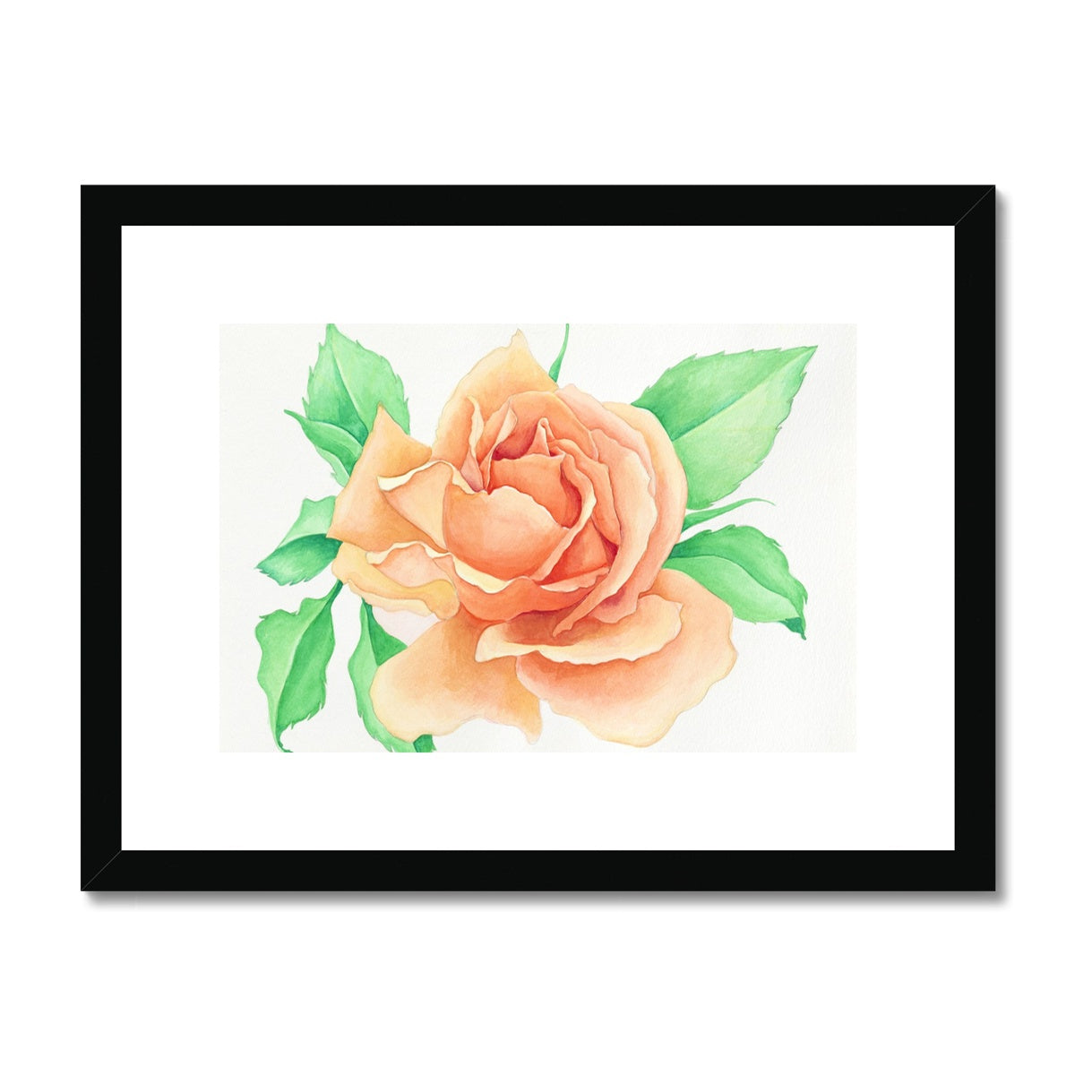 The Rose Framed & Mounted Print