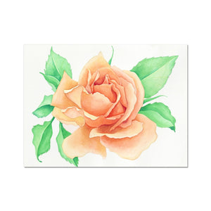 The Rose Fine Art Print