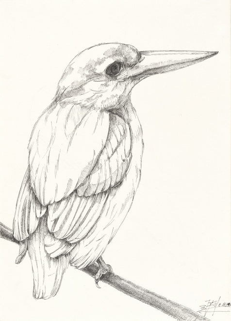The Bird 2