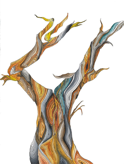Old Tree 2