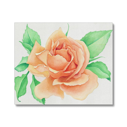 The Rose Canvas