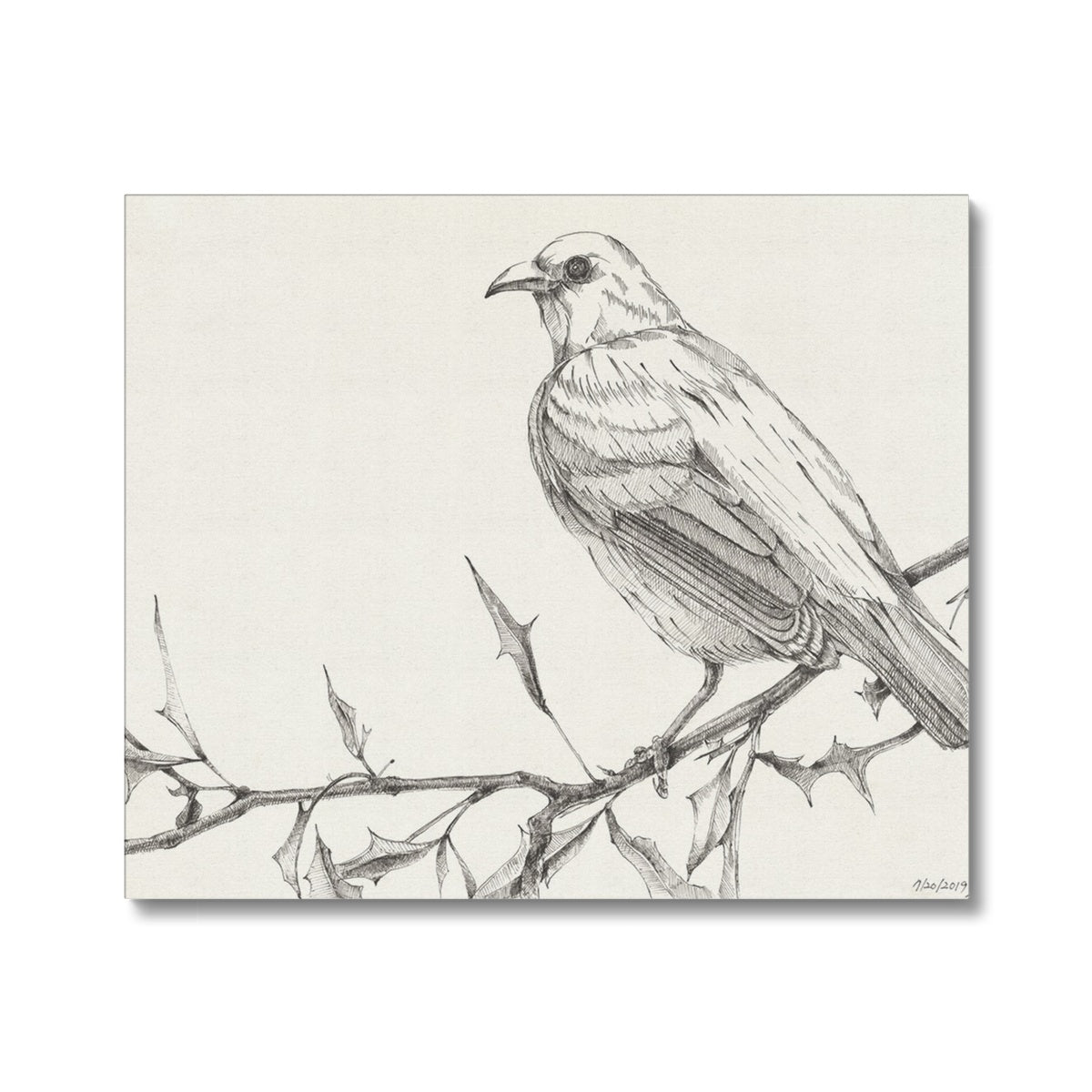 The Bird 3 Canvas
