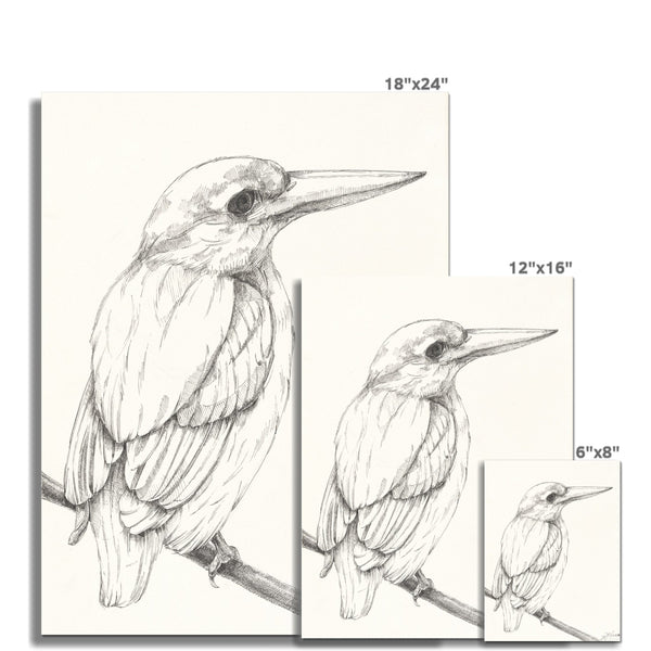 The Bird 2 Fine Art Print