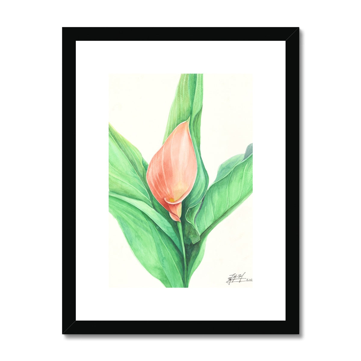 The Lily Framed & Mounted Print