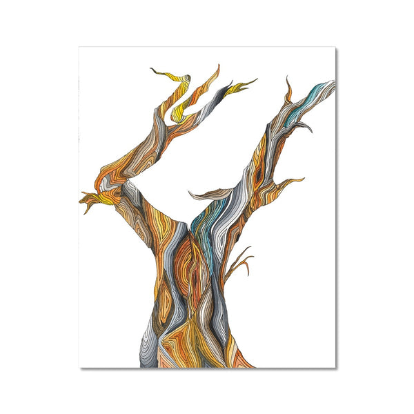 Old Tree 2 Fine Art Print