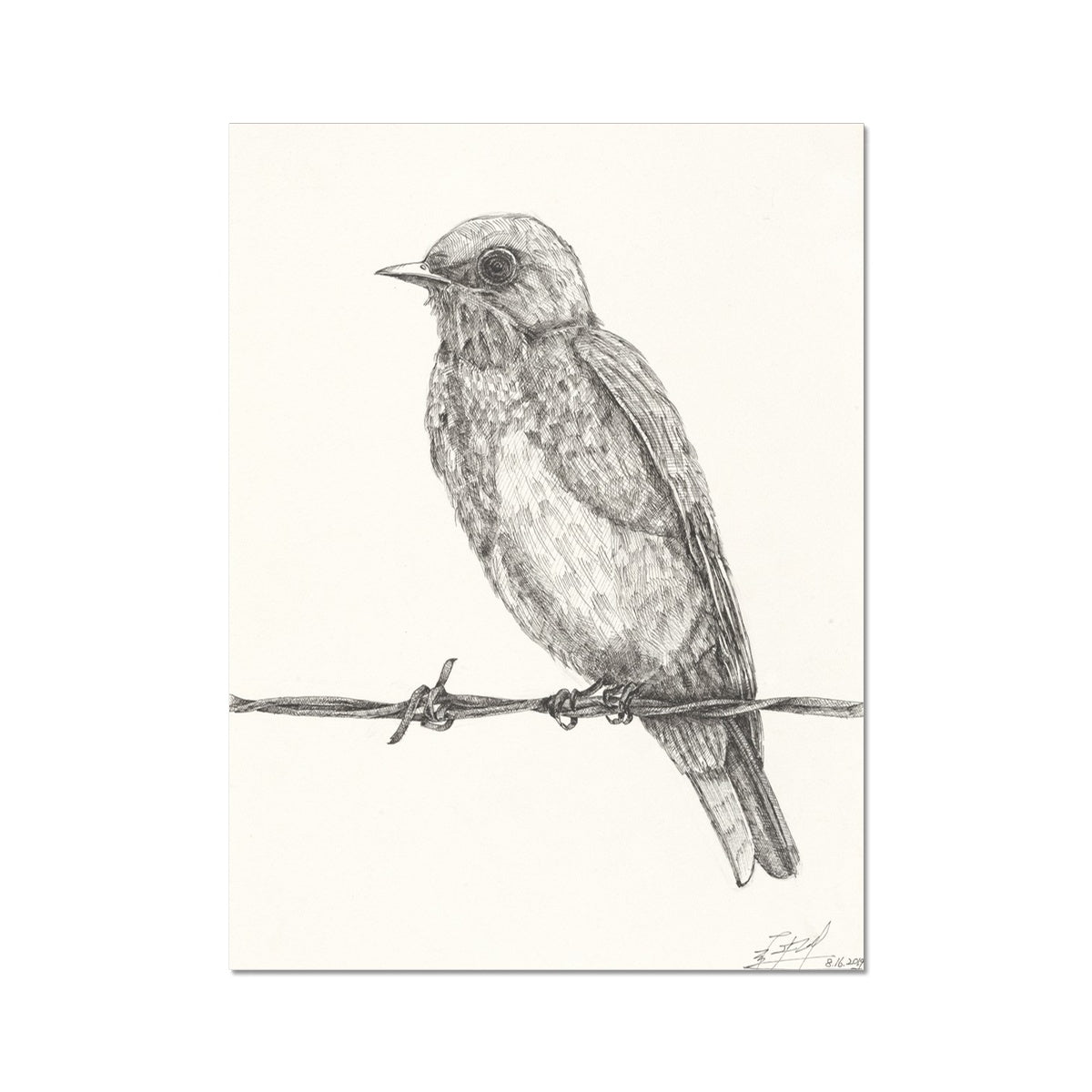 The Bird 1 Fine Art Print