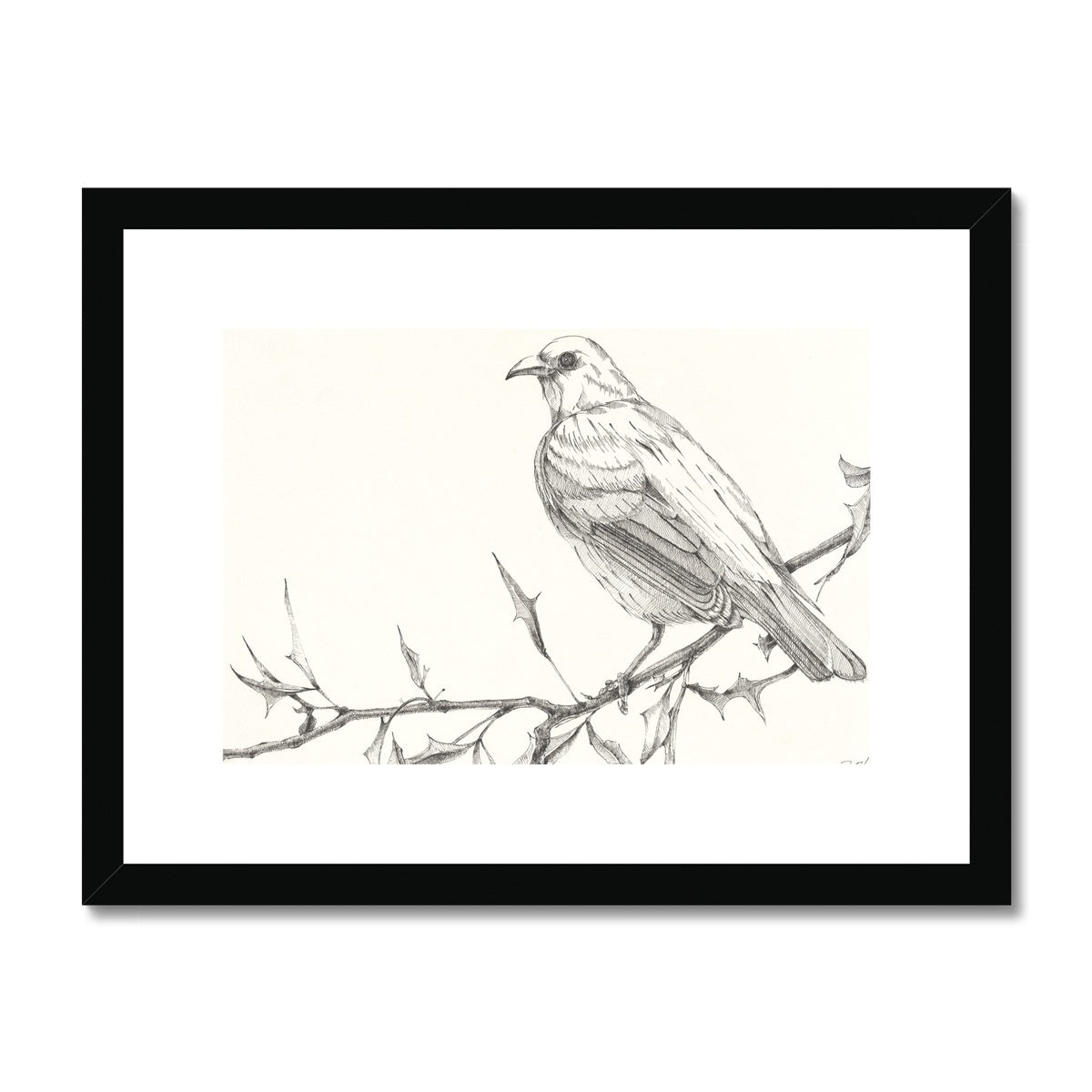 The Bird 3 Framed & Mounted Print
