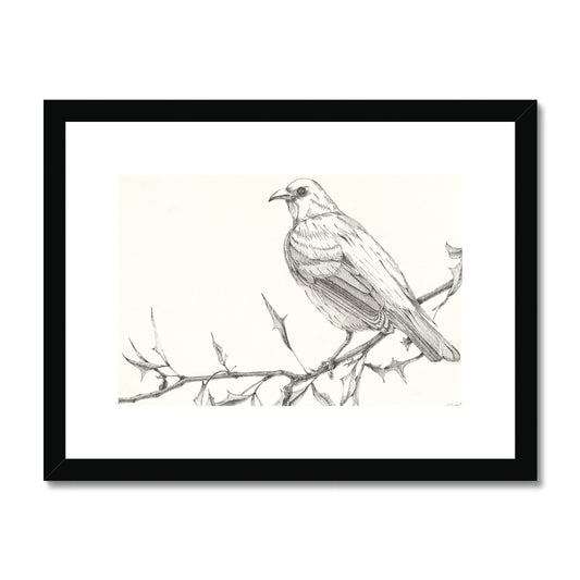 The Bird 3 Framed & Mounted Print