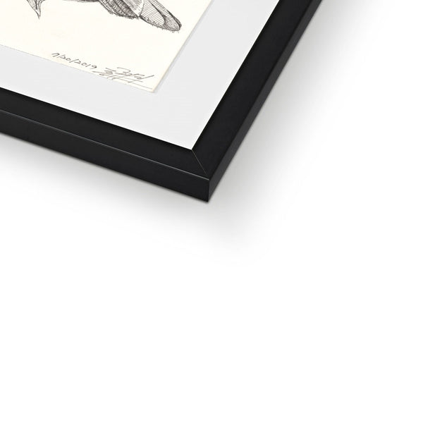 The Bird 3 Framed & Mounted Print