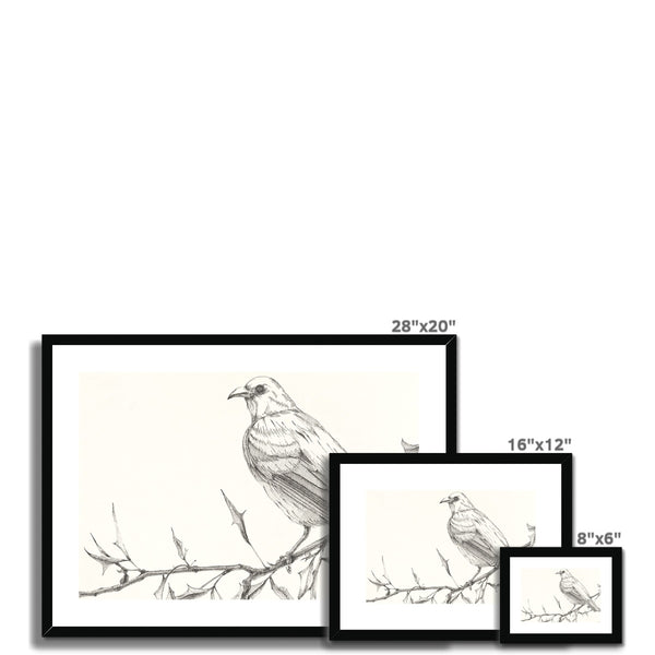 The Bird 3 Framed & Mounted Print
