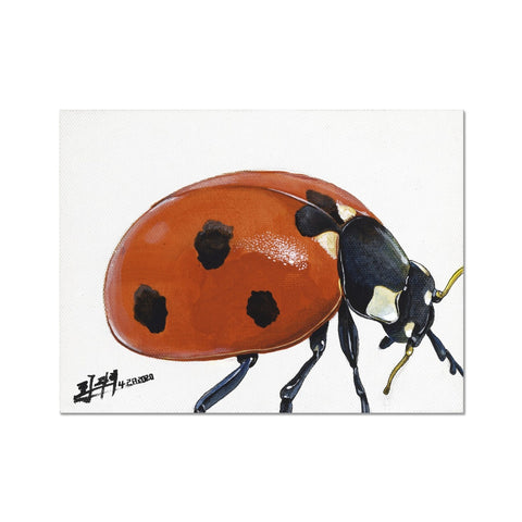 lady bug Fine Art Print