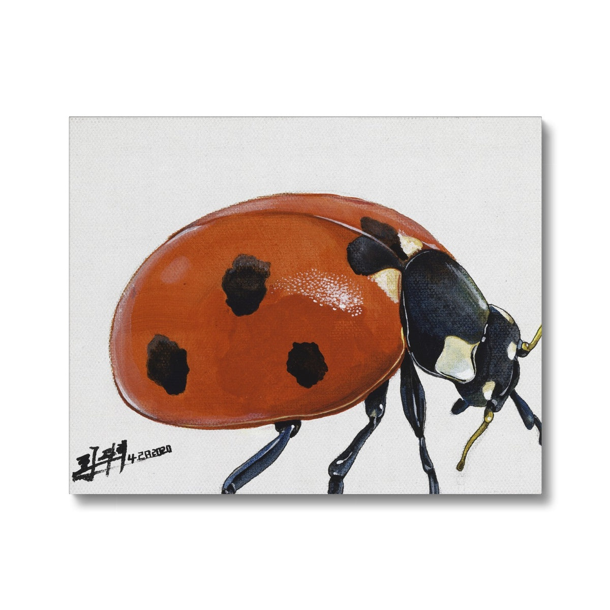 lady bug Canvas