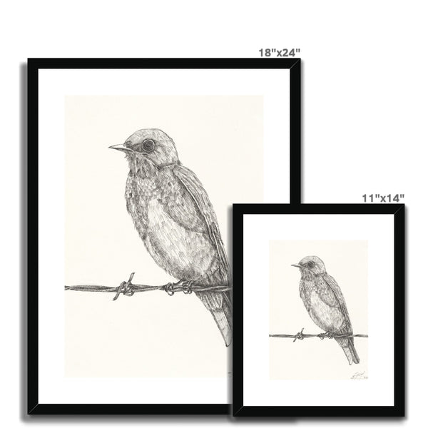 The Bird 1 Framed & Mounted Print