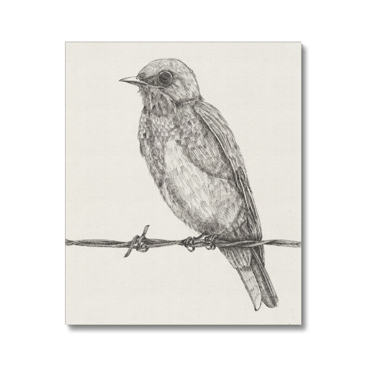 The Bird 1 Canvas