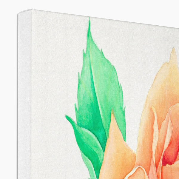 The Rose Canvas