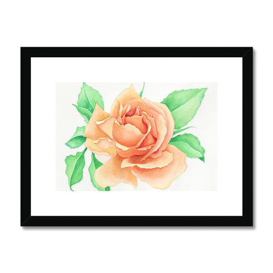 The Rose Framed & Mounted Print