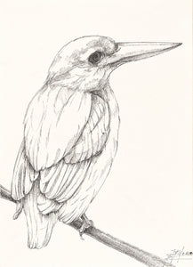 The bird 2 (original) - pen drawing