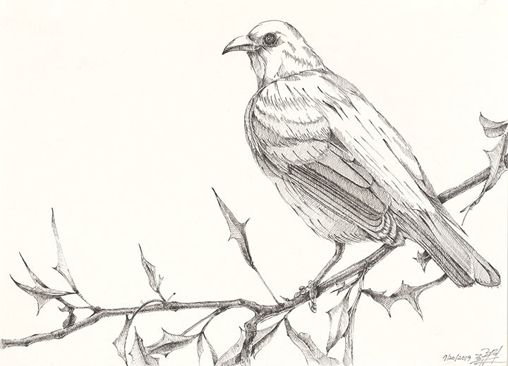 The bird 3 (original) - pen drawing