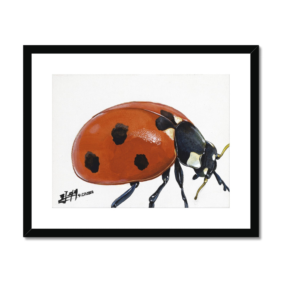 Lady Bug Framed & Mounted Print