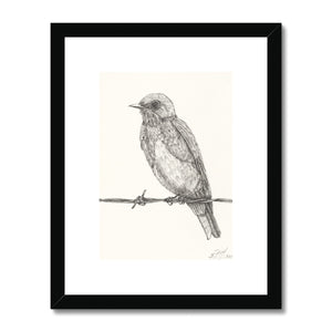 The Bird 1 Framed & Mounted Print