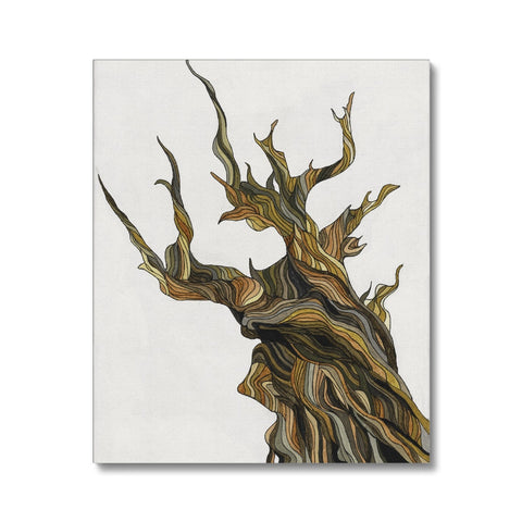 Old tree Canvas