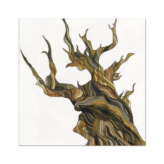 Old tree Fine Art Print