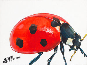 Lady bug (original) - Acrylic